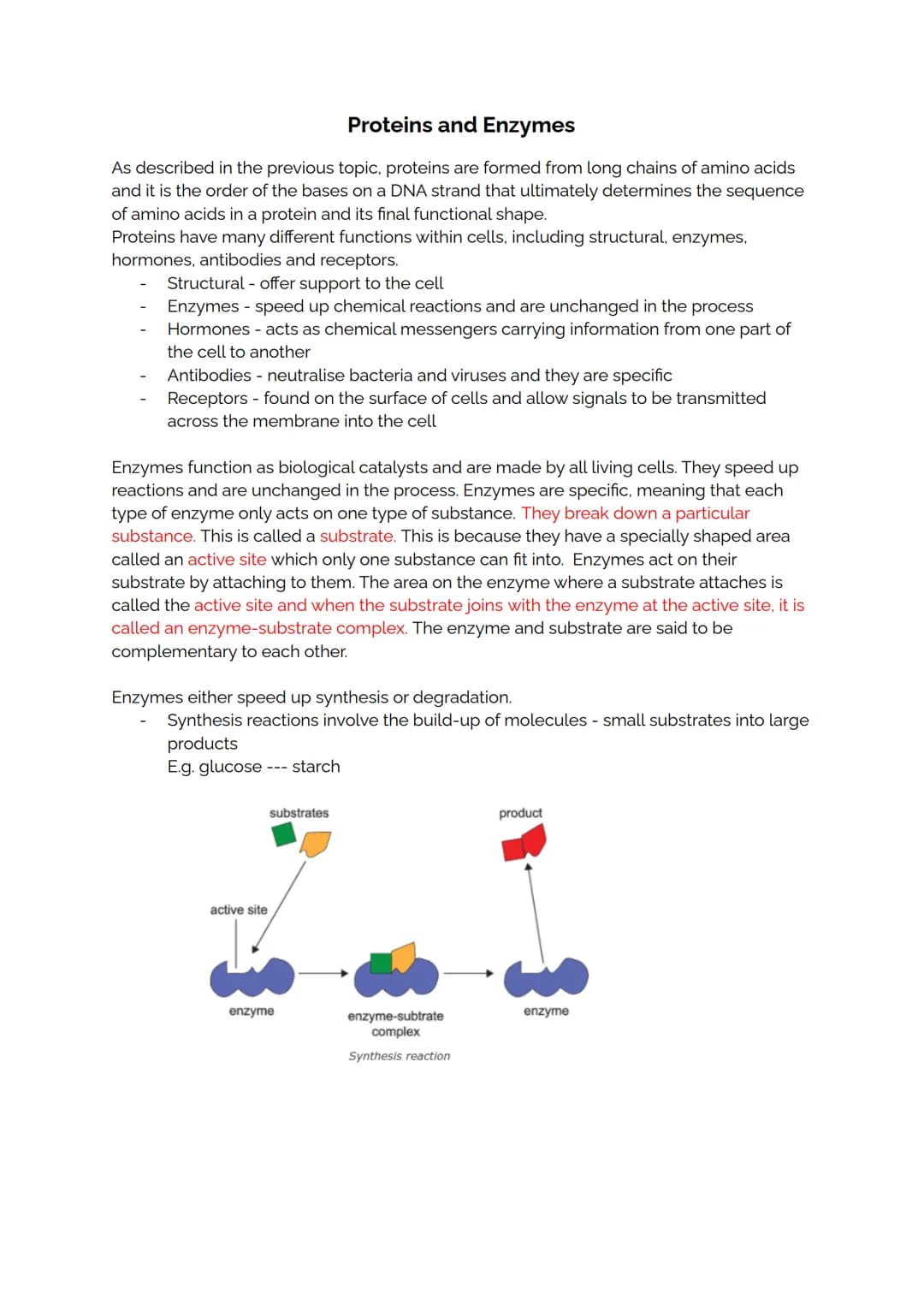 Proteins and Enzymes
As described in the previous topic, proteins are formed from long chains of amino acids
and it is the order of the base