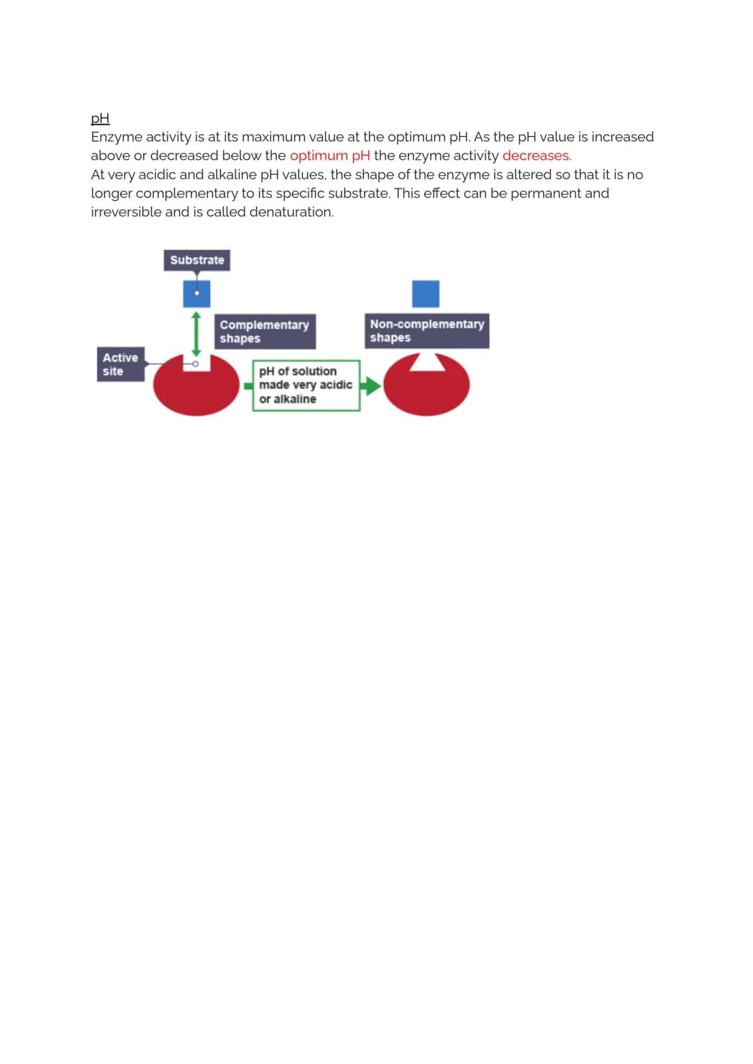 Proteins and Enzymes
As described in the previous topic, proteins are formed from long chains of amino acids
and it is the order of the base