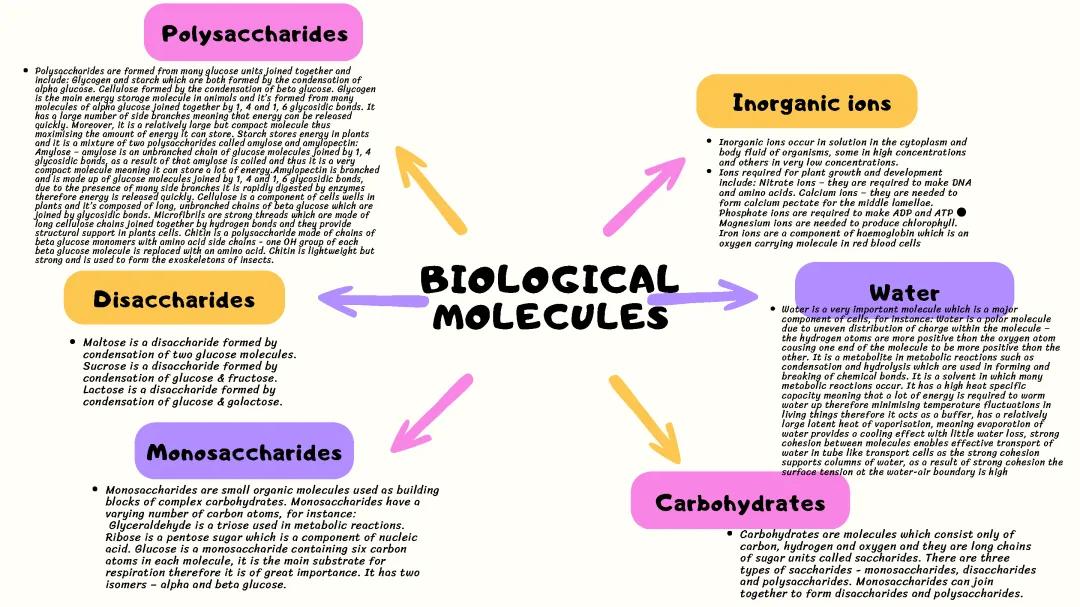 1.1 Biological Molecules WJEC mindmap