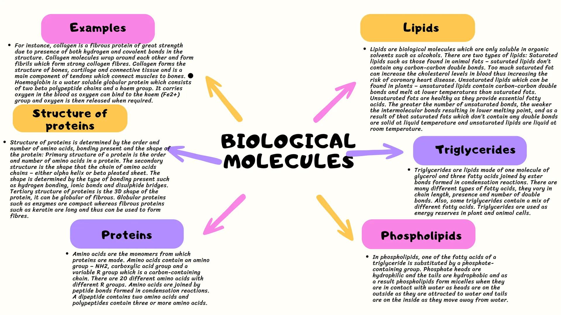 Polysaccharides
• Polysaccharides are formed from many glucose units joined together and
include: Glycogen and starch which are both formed 