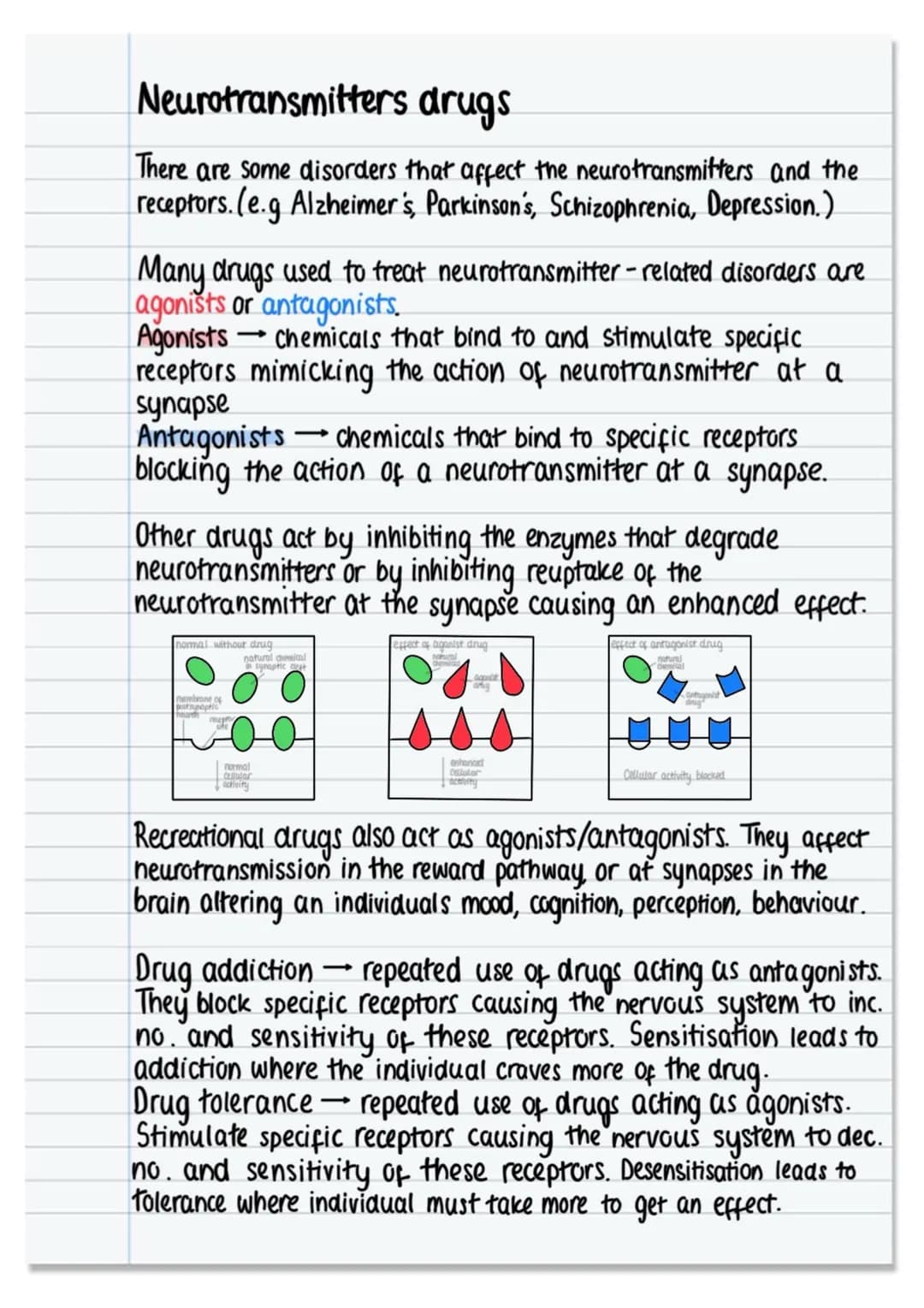The nervous system and neural pathways.
nervous system
CNS
☑
under involuntary
Control
brain spinal cord.
PNS
SNS Control
under voluntary
AN