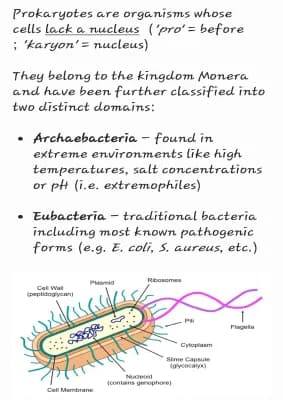 Know Prokaryotic Cells thumbnail