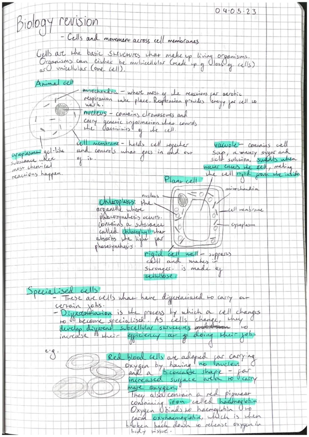 GCSE WJEC Biology - Cells and movement across membranes 