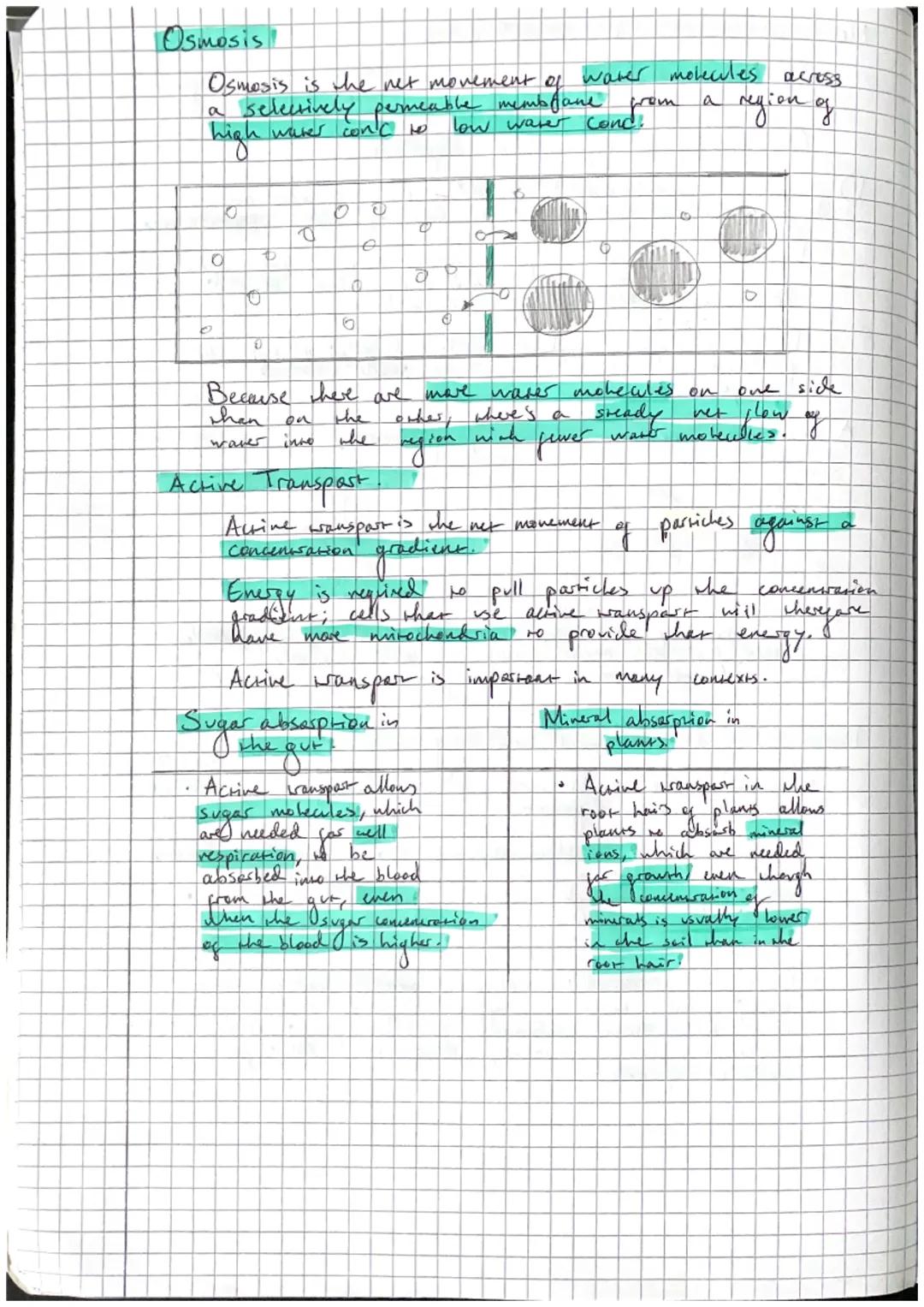 # Biology revision

- Cells and movement across cell membranes.

Cells are the basic Shtuchures thar make up lining orgon's.
Organisms can e
