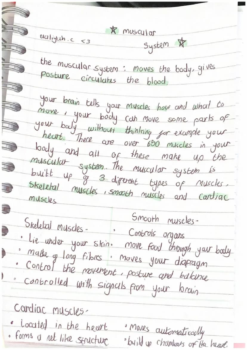 •
"
O
>
0
daliyah. c <3
System
the muscular system : moves the body, gives
posture circulates the blood.
your brain tells your muscles how a
