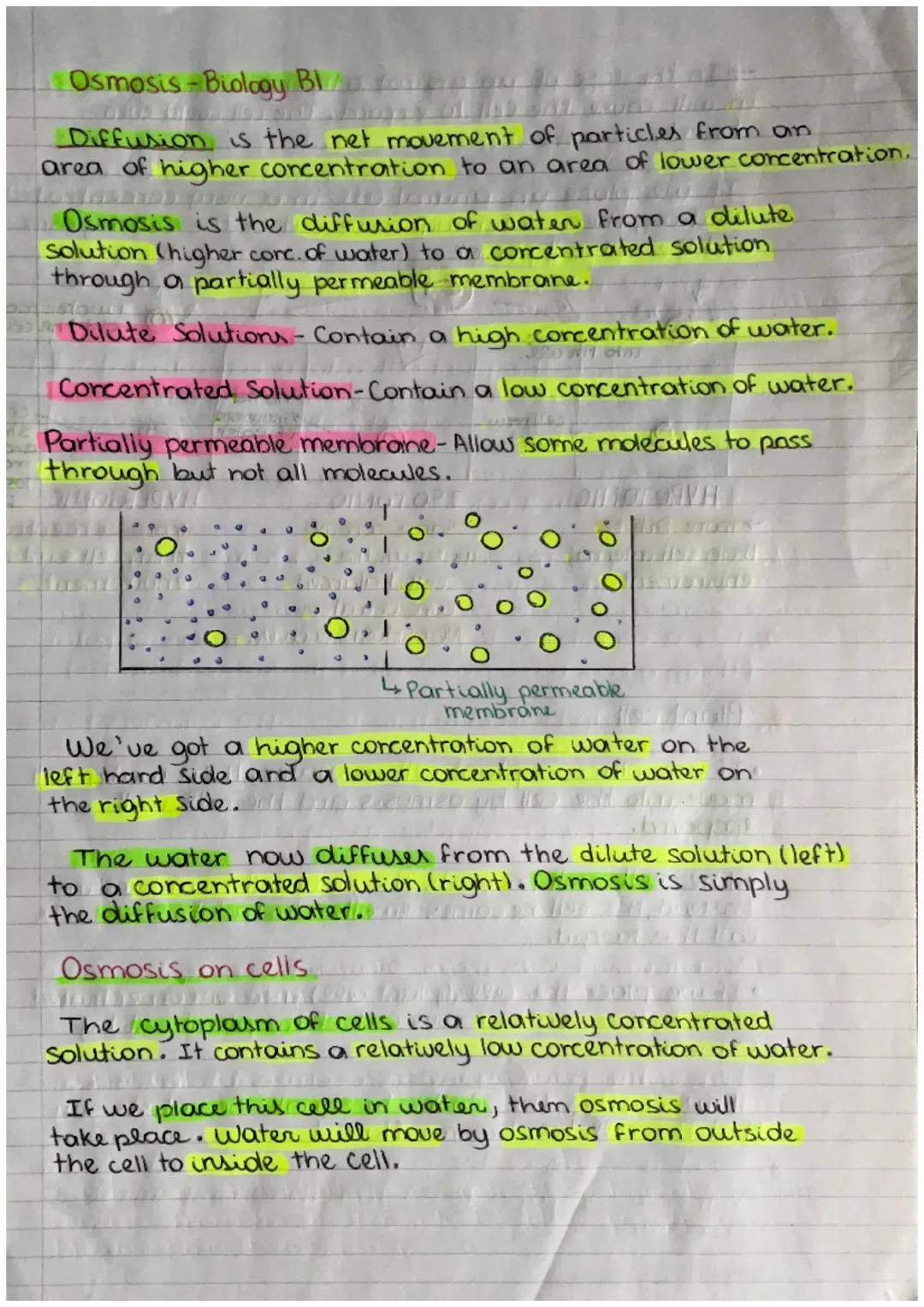 Osmosis - Biology Bl
Diffusion is the net movement of particles from an
area of higher concentration to an area of lower concentration.
Osmo