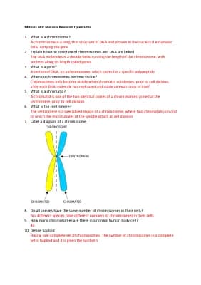 Know Mitosis and Meiosis Revision Questions thumbnail