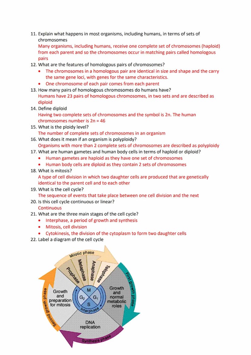 Mitosis and Meiosis Revision Questions
1. What is a chromosome?
A chromosome is a long, thin structure of DNA and protein in the nucleus if 