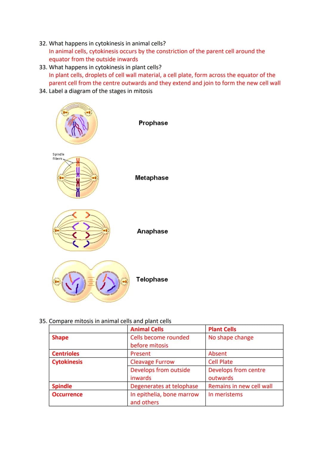 Mitosis and Meiosis Revision Questions
1. What is a chromosome?
A chromosome is a long, thin structure of DNA and protein in the nucleus if 