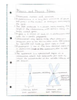 Know Cell division revision notes for EDUQAS A level biology thumbnail