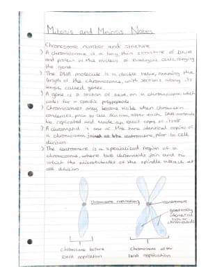 Know Cell division revision notes for EDUQAS A level biology thumbnail