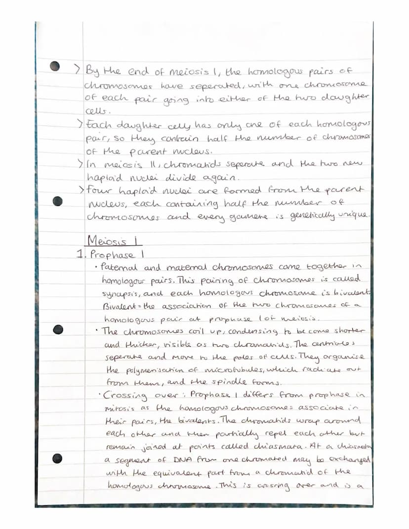 Mitosis and Meiosis Notes.
Chromosome number and structure.
> A chromosome is a long, thin structure of DNA
and protein in the nucleus.
the 