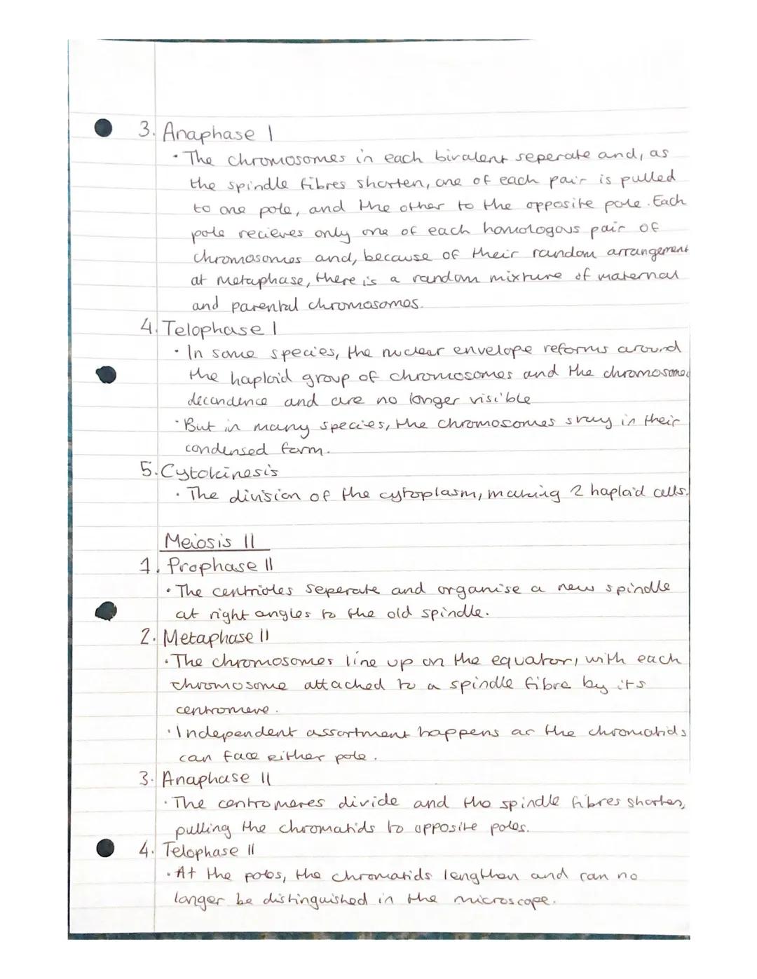 Mitosis and Meiosis Notes.
Chromosome number and structure.
> A chromosome is a long, thin structure of DNA
and protein in the nucleus.
the 