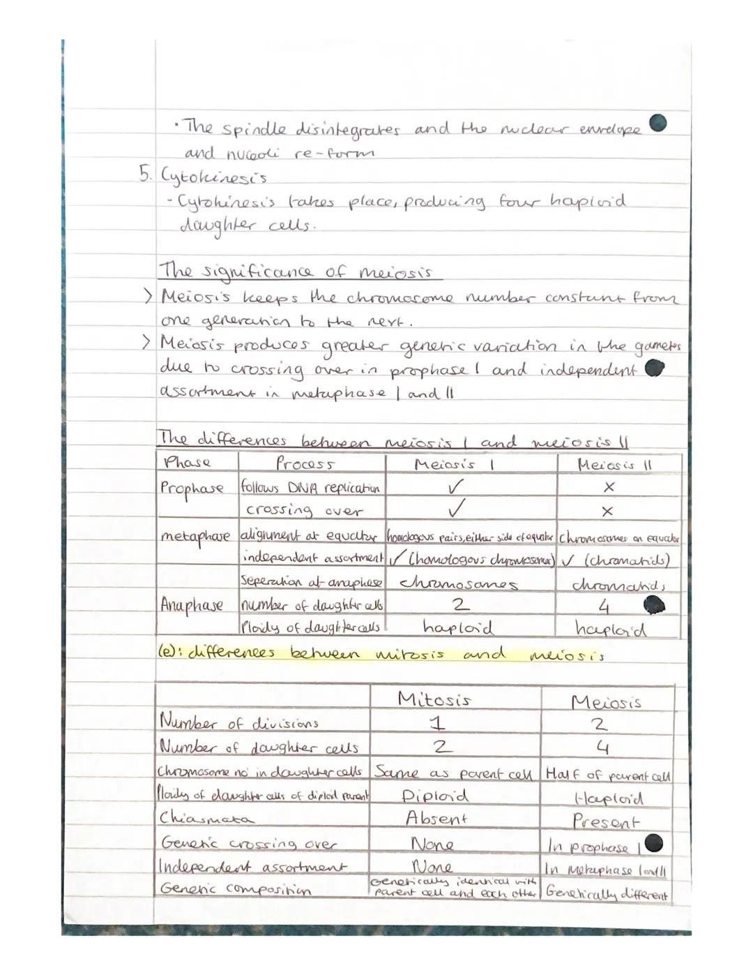 Mitosis and Meiosis Notes.
Chromosome number and structure.
> A chromosome is a long, thin structure of DNA
and protein in the nucleus.
the 