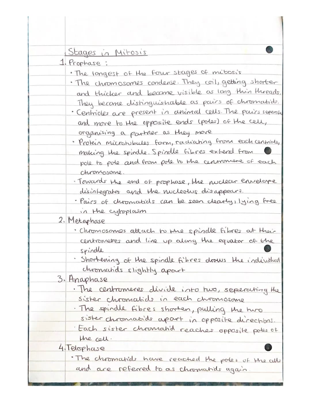 Mitosis and Meiosis Notes.
Chromosome number and structure.
> A chromosome is a long, thin structure of DNA
and protein in the nucleus.
the 