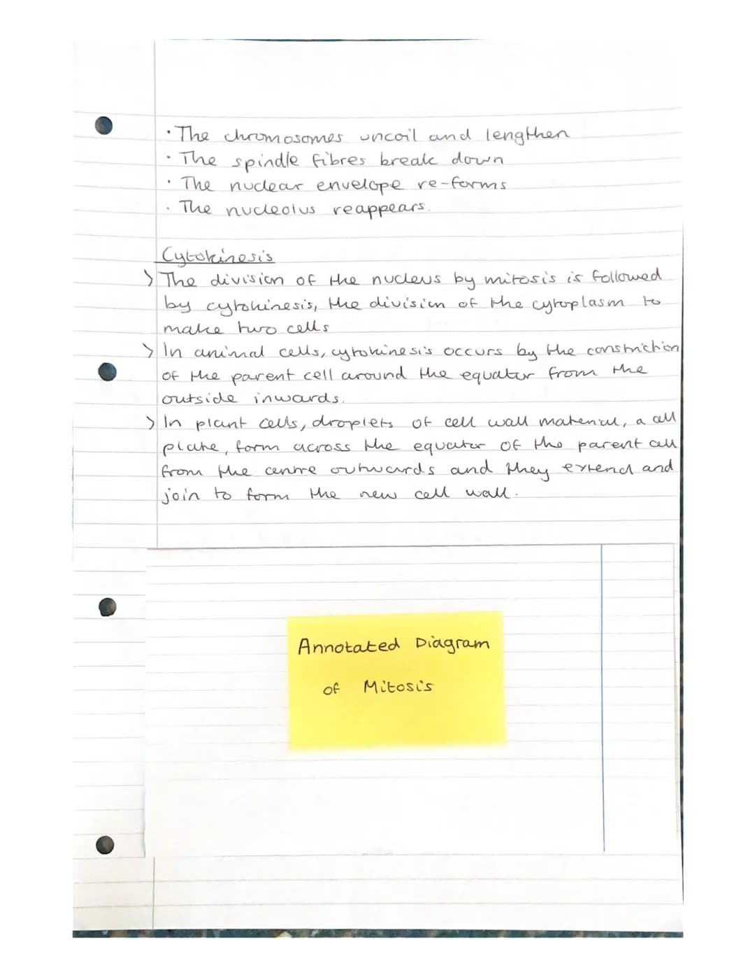 Mitosis and Meiosis Notes.
Chromosome number and structure.
> A chromosome is a long, thin structure of DNA
and protein in the nucleus.
the 