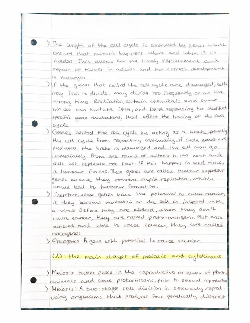 Mitosis and Meiosis Notes.
Chromosome number and structure.
> A chromosome is a long, thin structure of DNA
and protein in the nucleus.
the 