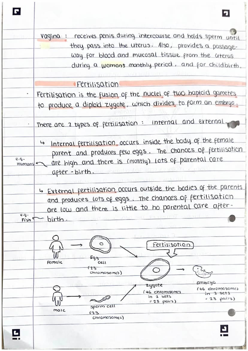 Ji
Reproduction
note:
There are 2 types of reproduction: sexual (requires 2 parents)
A sexual (only requires I parent)}
sexual reproduction
