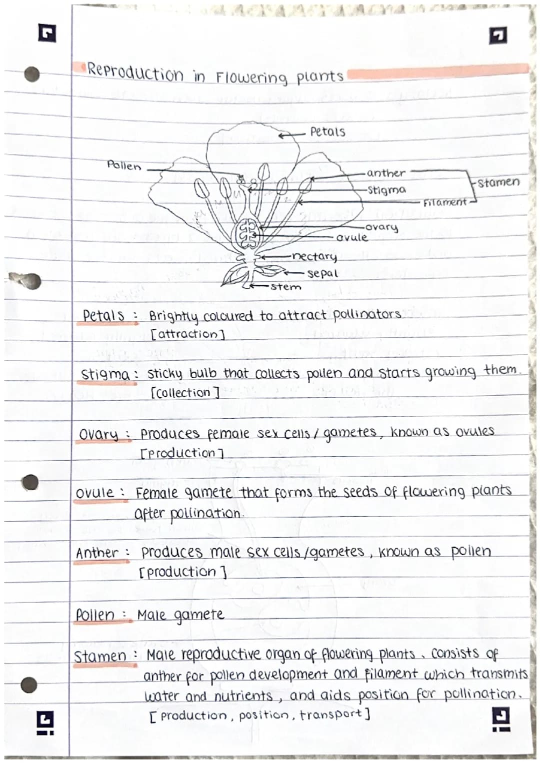 Ji
Reproduction
note:
There are 2 types of reproduction: sexual (requires 2 parents)
A sexual (only requires I parent)}
sexual reproduction
