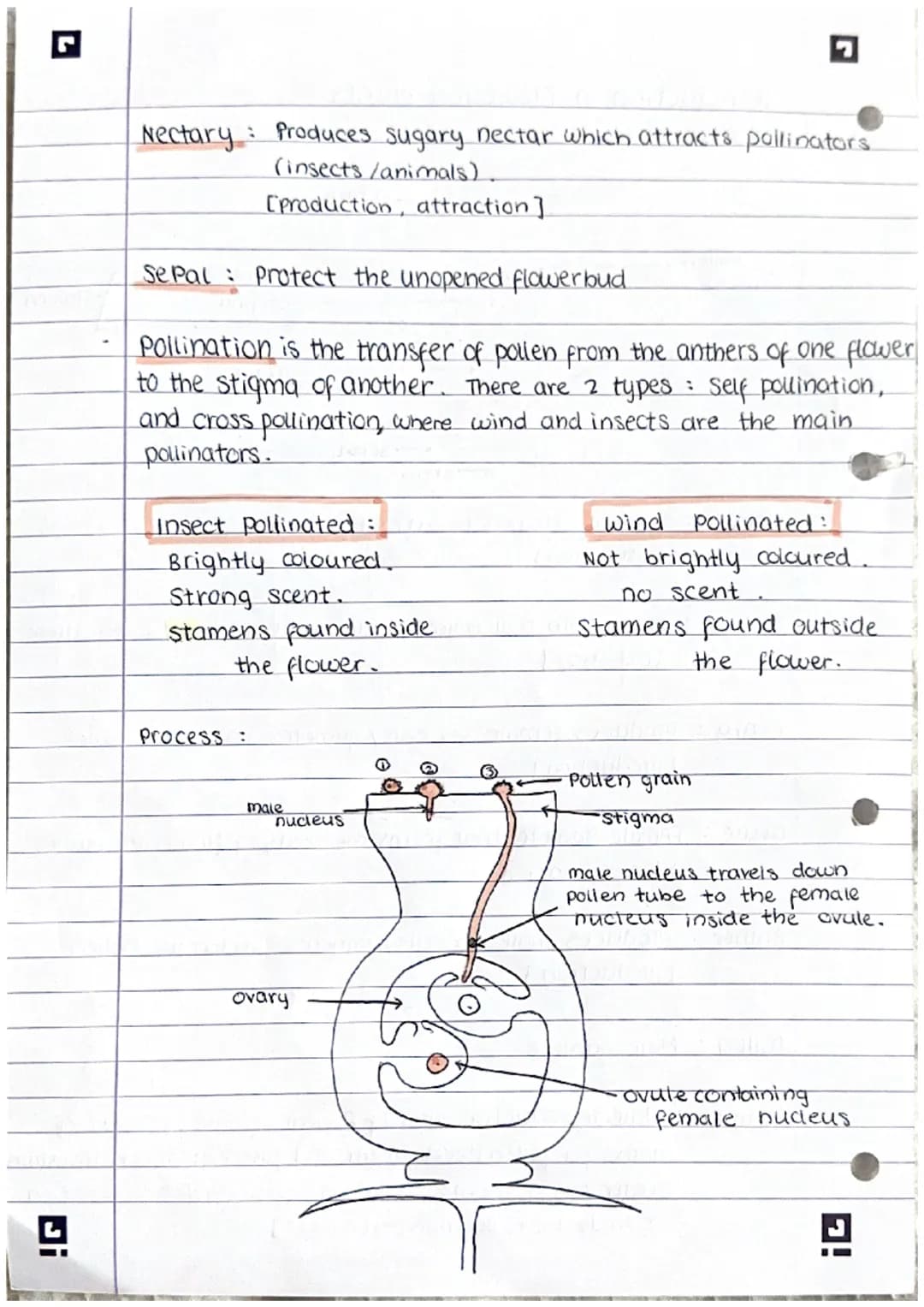 Ji
Reproduction
note:
There are 2 types of reproduction: sexual (requires 2 parents)
A sexual (only requires I parent)}
sexual reproduction
