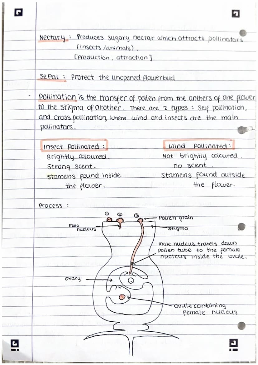 Ji
Reproduction
note:
There are 2 types of reproduction: sexual (requires 2 parents)
A sexual (only requires I parent)}
sexual reproduction
