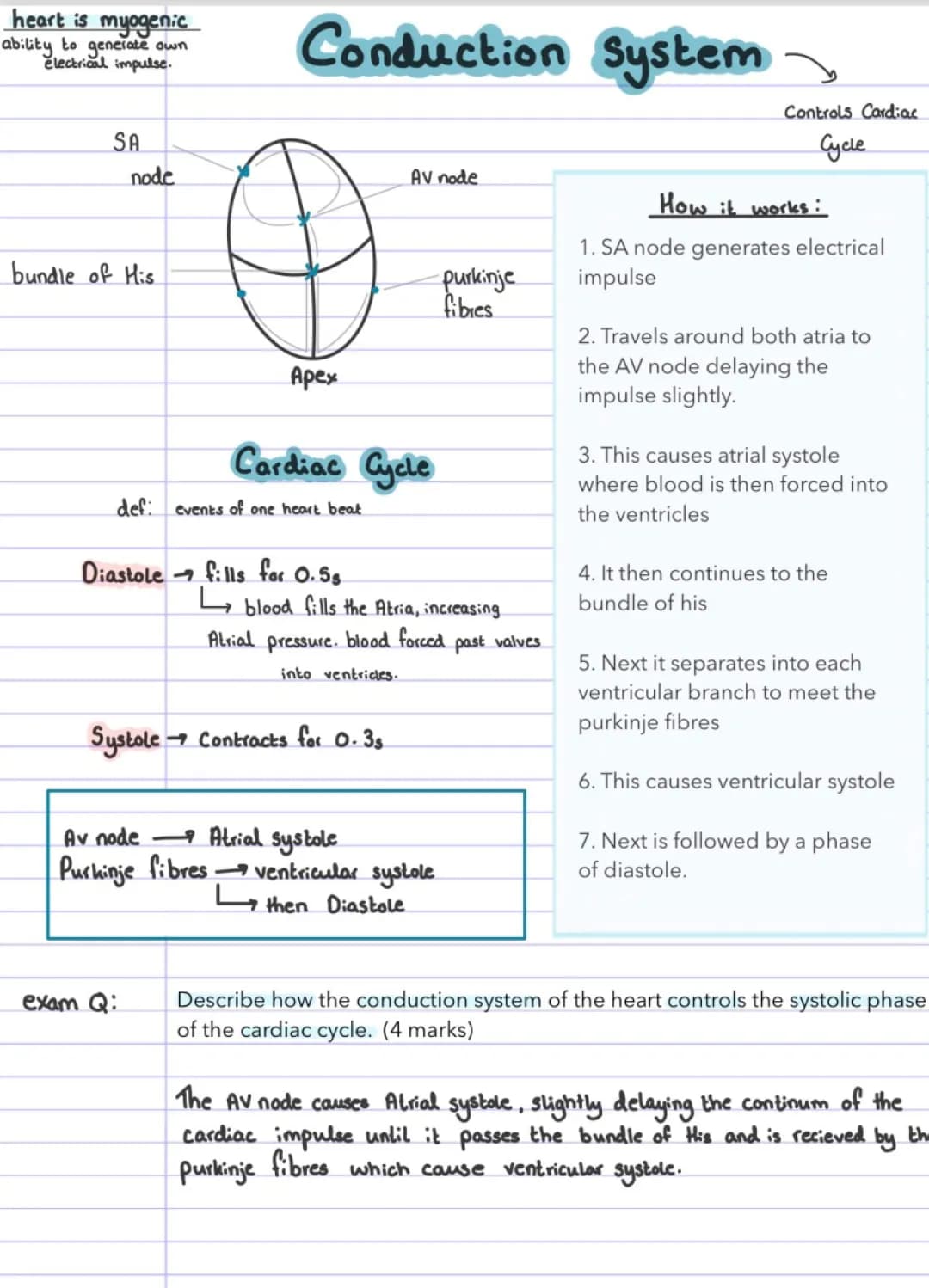 Conduction System OCR PE