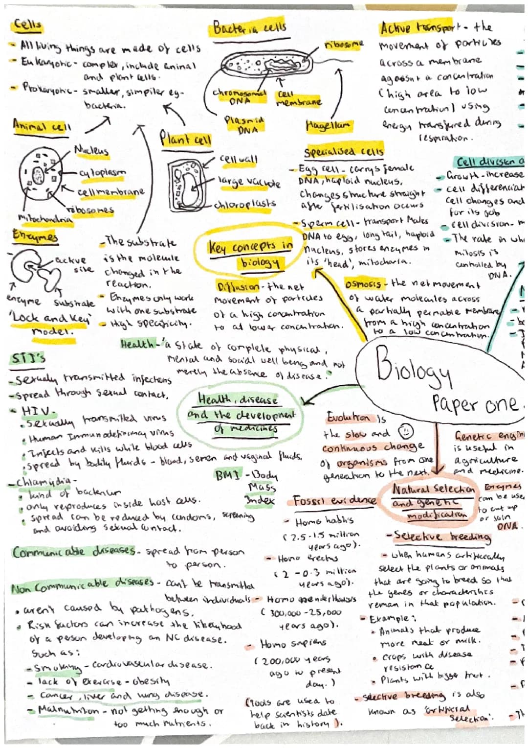 biology paper 1