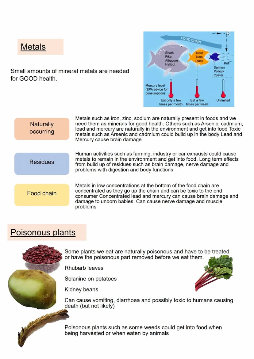 Unit 1
The Hospitality and Catering industry
WJEC LEVEL 1/2 AWARD in
HOSPITALITY AND
CATERING A
LO4
Know how food can cause ill health
Exam 