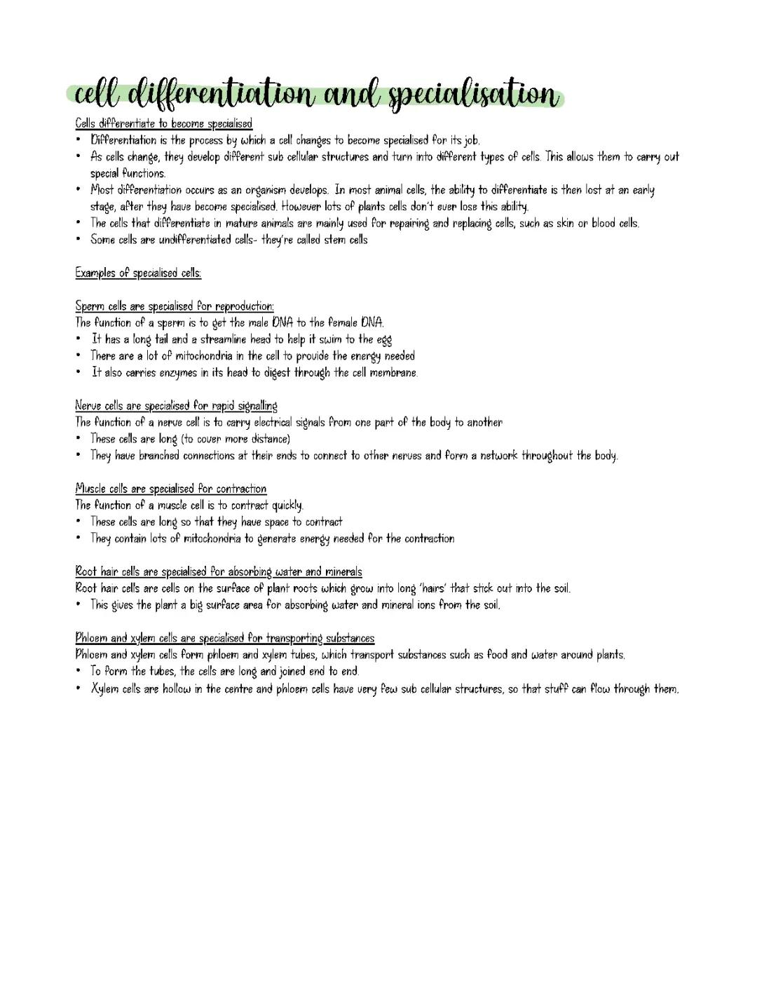 cell differentiation and specialisation 