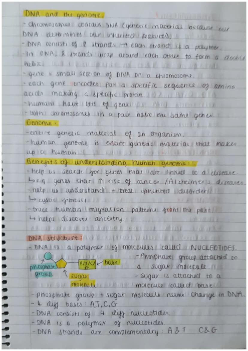 Biology Paper 2:
Thermoregulation
-homeostasis keeps all body's internal conditions constant.
- normal human body temp is 37°C.
·body temp i