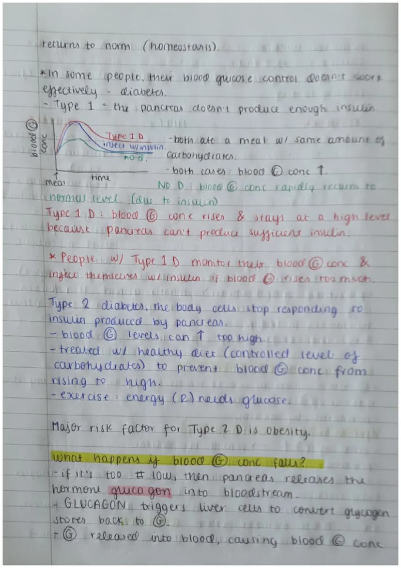 Biology Paper 2:
Thermoregulation
-homeostasis keeps all body's internal conditions constant.
- normal human body temp is 37°C.
·body temp i