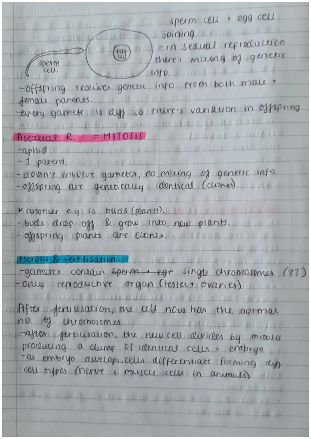 Biology Paper 2:
Thermoregulation
-homeostasis keeps all body's internal conditions constant.
- normal human body temp is 37°C.
·body temp i