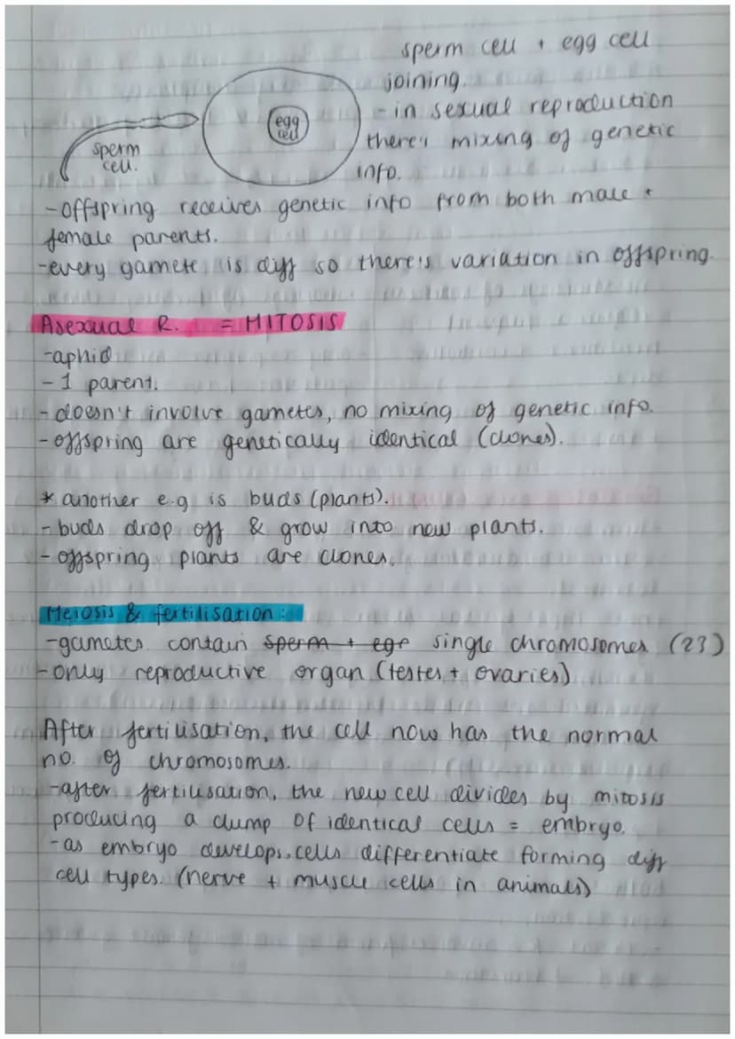 Biology Paper 2:
Thermoregulation
-homeostasis keeps all body's internal conditions constant.
- normal human body temp is 37°C.
·body temp i