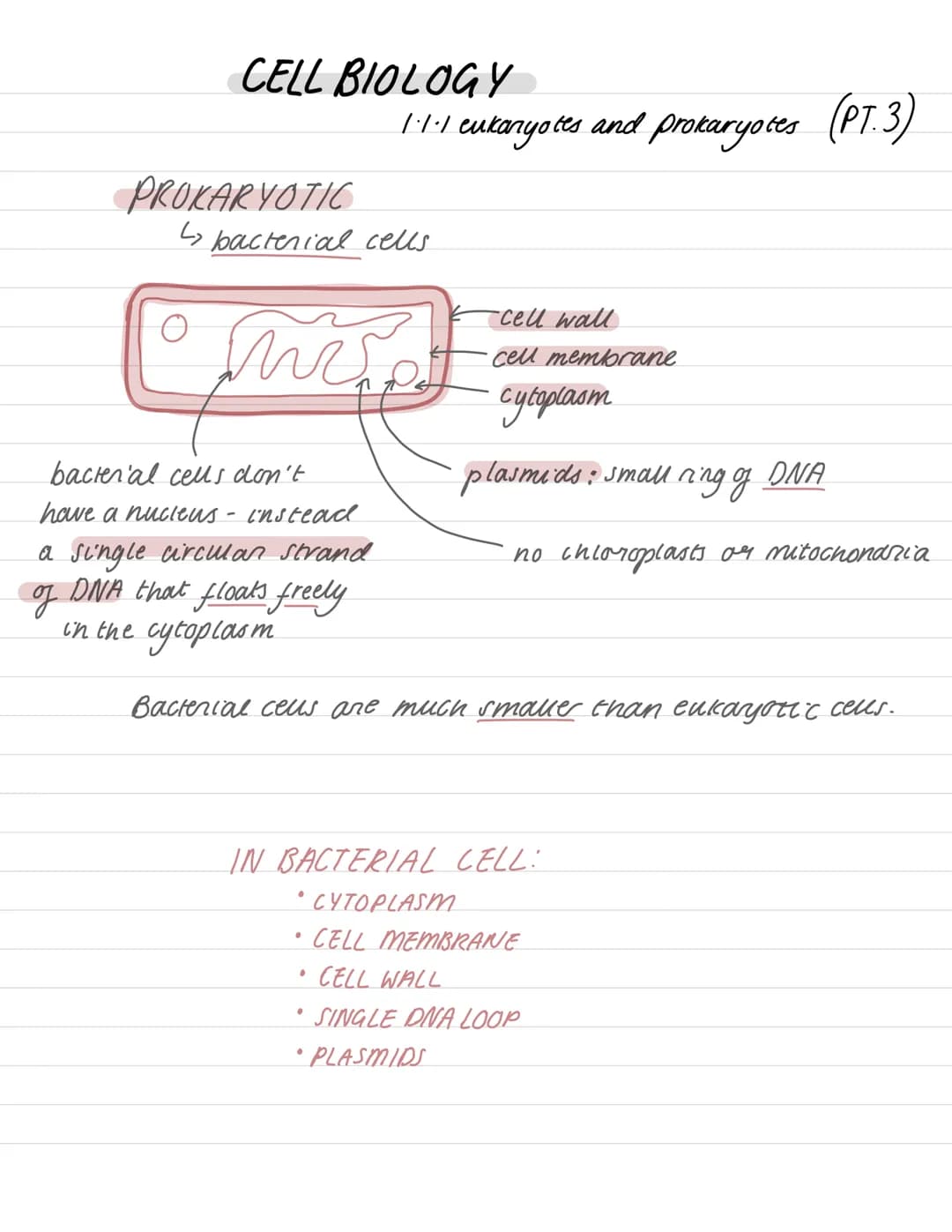 
<h2 id="biologyaqacellbiologynotes">Biology AQA Cell Biology Notes</h2>
<h3 id="eukaryoticandprokaryoticcellsdiagram">Eukaryotic and Prokar