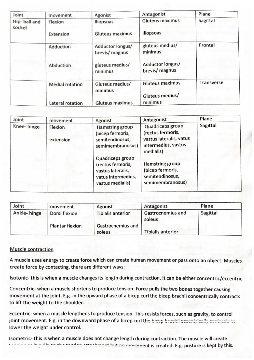 anterior
deltoid
(antenor)
pectoralis major
rectus
abdominis
abdominal
external oblique
wrist
Hixon
adductor
longus
rectus
fermons
vastus
la