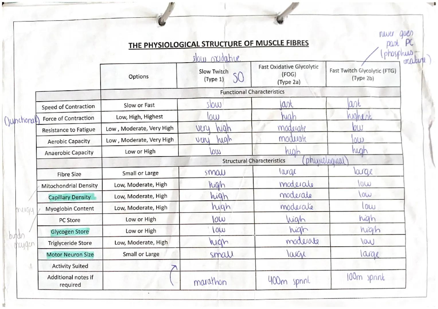 anterior
deltoid
(antenor)
pectoralis major
rectus
abdominis
abdominal
external oblique
wrist
Hixon
adductor
longus
rectus
fermons
vastus
la