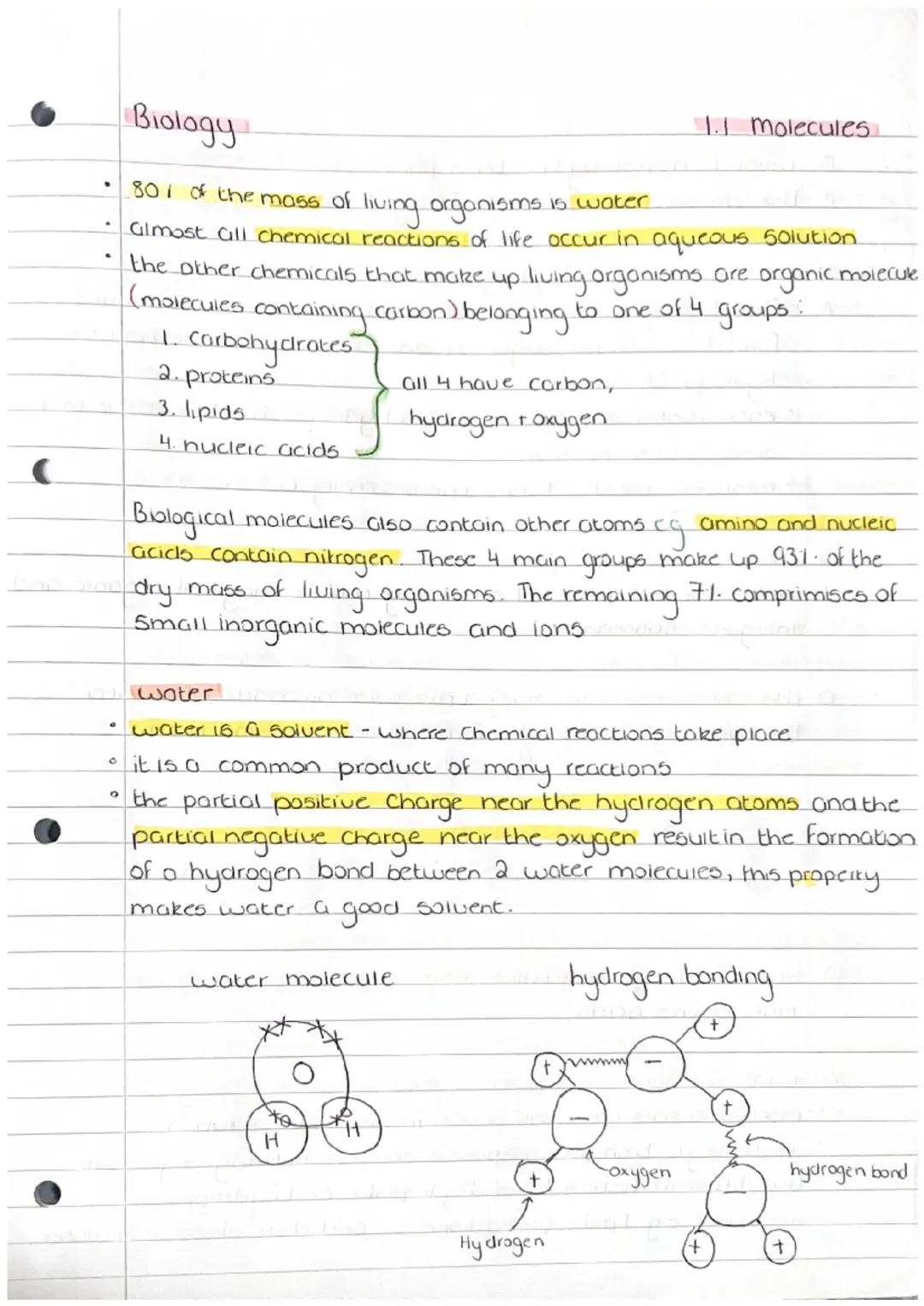 Molecules: Water and Inorganic Ions