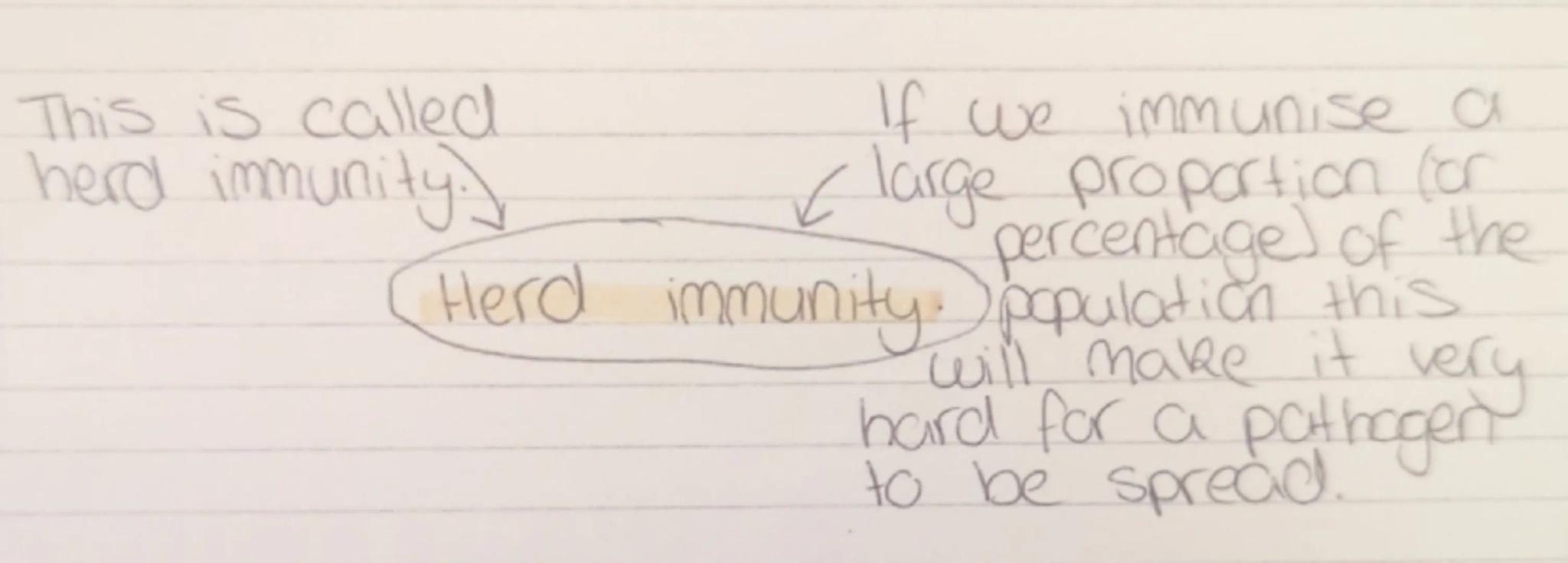 Sugar all iodine.
Starch.
blue-black.
Starch. add blue Benedict's yellow/green/
sugar. heat up (water bath). change/brown/
protein. grind fo