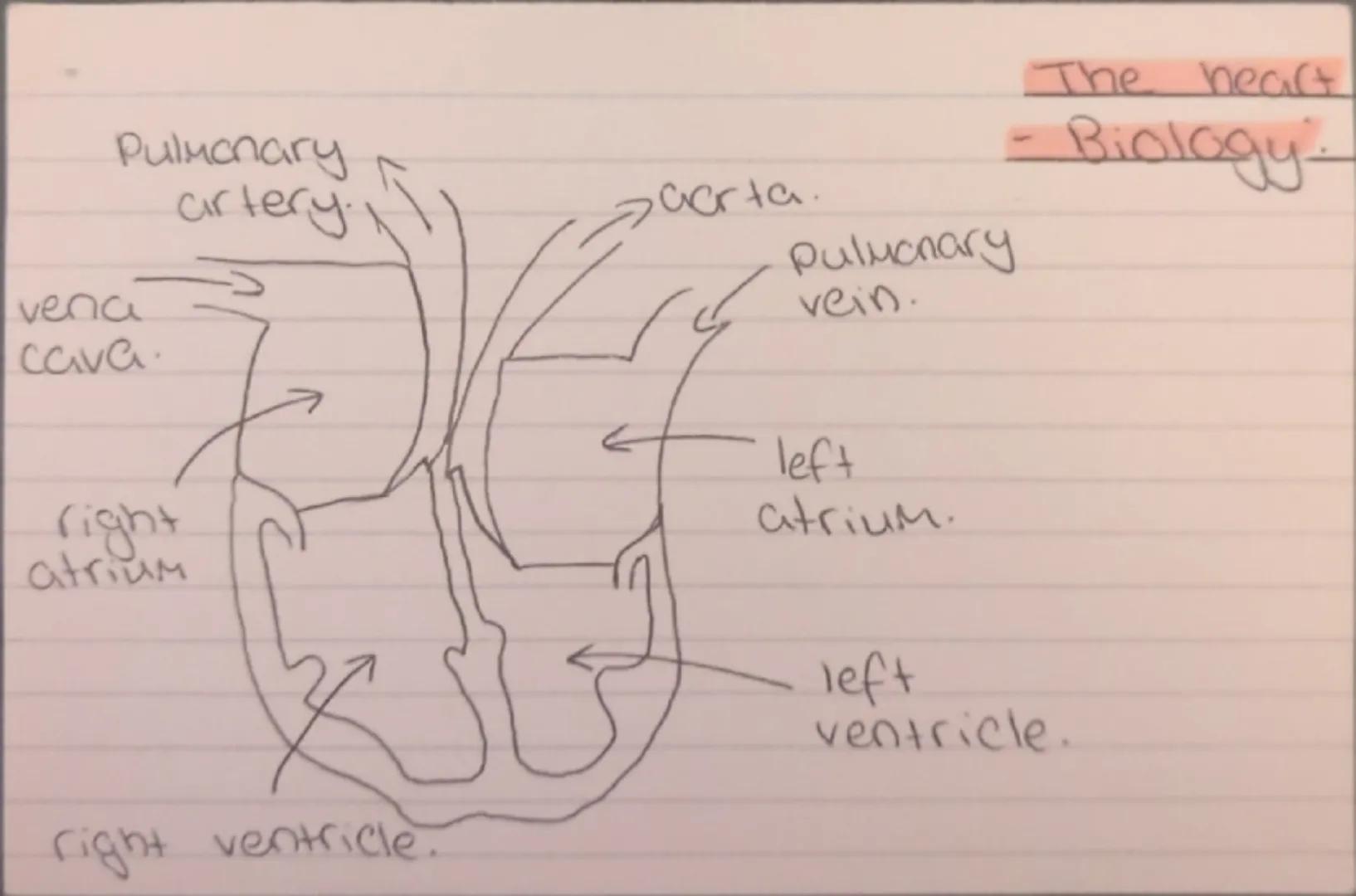 Sugar all iodine.
Starch.
blue-black.
Starch. add blue Benedict's yellow/green/
sugar. heat up (water bath). change/brown/
protein. grind fo