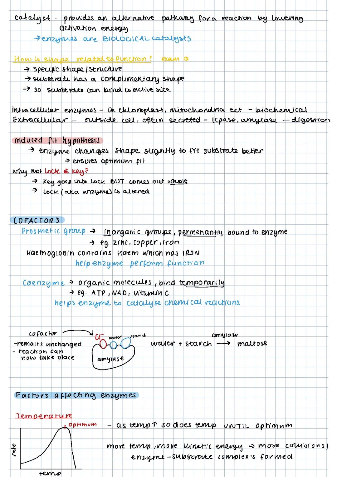 Enzymes biology