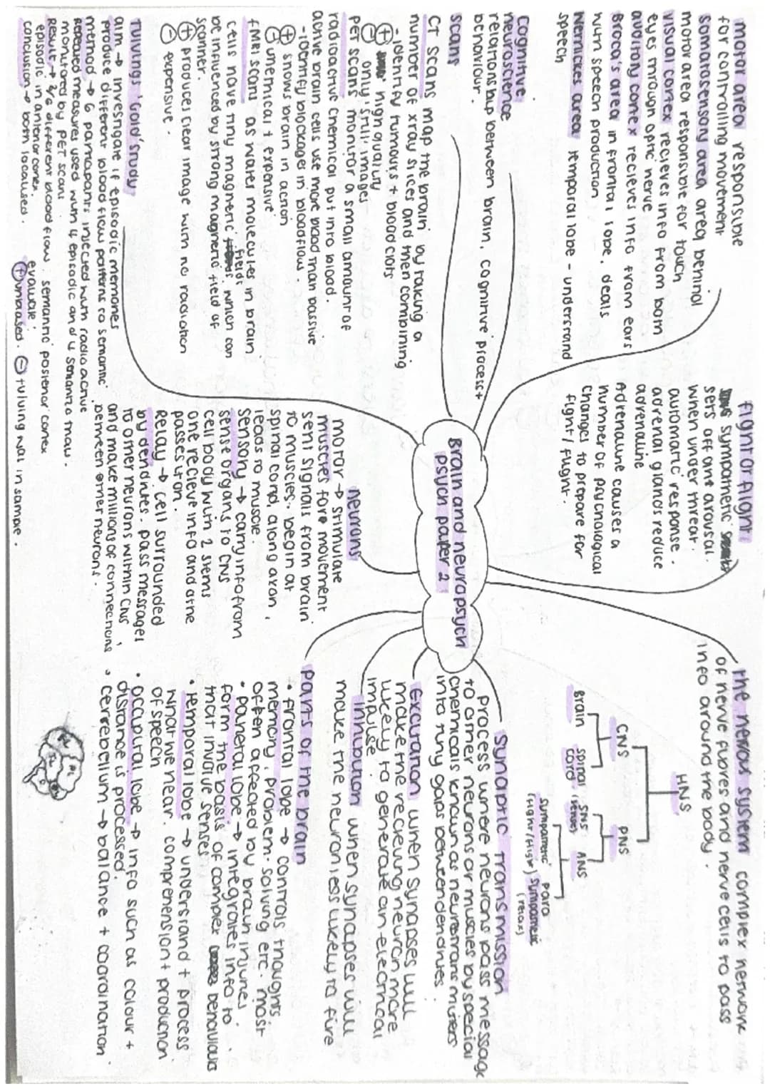 Pillavins subway study.
aim investigate if
characrensics affect help
given.
method 103 mais, male
Confederate collapsed eitner
disabled/drin