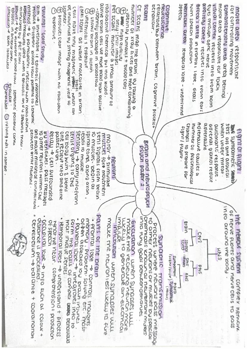 Pillavins subway study.
aim investigate if
characrensics affect help
given.
method 103 mais, male
Confederate collapsed eitner
disabled/drin