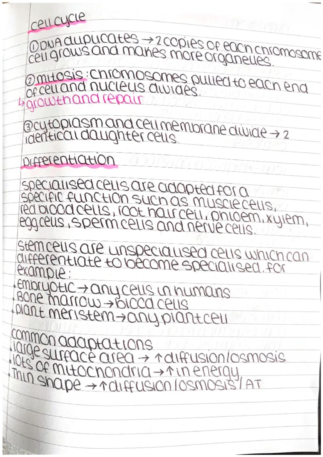 cell biology Paper 1

Anumai cell

Nucieus
cell membrane,
0
rubosomes
mitochondria

NUCIEUS DNA+controls celu
cell membrane controls what go