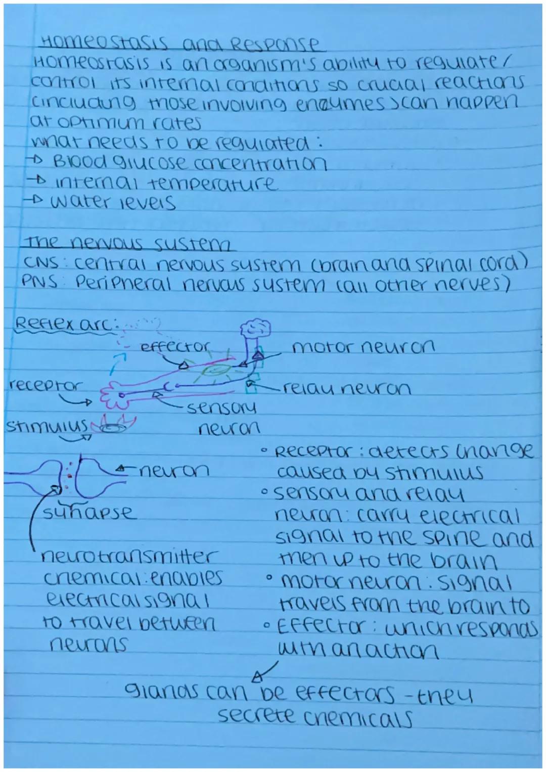 Homeostasis
and Response.
Homeostasis is an organism's ability to regulate/
control its internal conditions so crucial reactions
Cincluding 