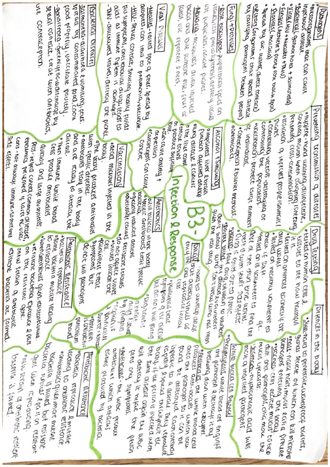 Cells
Eukaryotic cells
Nucleus.
Animal cell
mitochondria-reaction for
aerobic respiration
Cytoplasm-chemical reactions
riposomes proteins
Je