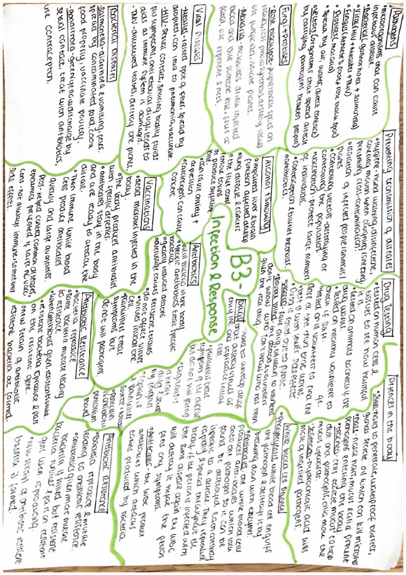 Cells
Eukaryotic cells
Nucleus.
Animal cell
mitochondria-reaction for
aerobic respiration
Cytoplasm-chemical reactions
riposomes proteins
Je