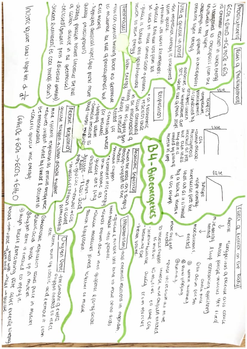 Cells
Eukaryotic cells
Nucleus.
Animal cell
mitochondria-reaction for
aerobic respiration
Cytoplasm-chemical reactions
riposomes proteins
Je