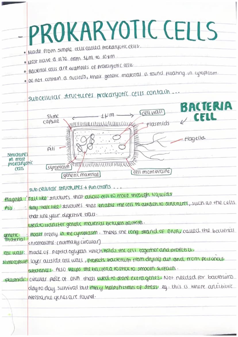 2 Main types of cells:
cell
tract
EUKARYOTIC CELLS
Nade from complex cells called eukary ofic cells.
(UM)
•10-100 micrometers in size
• euka