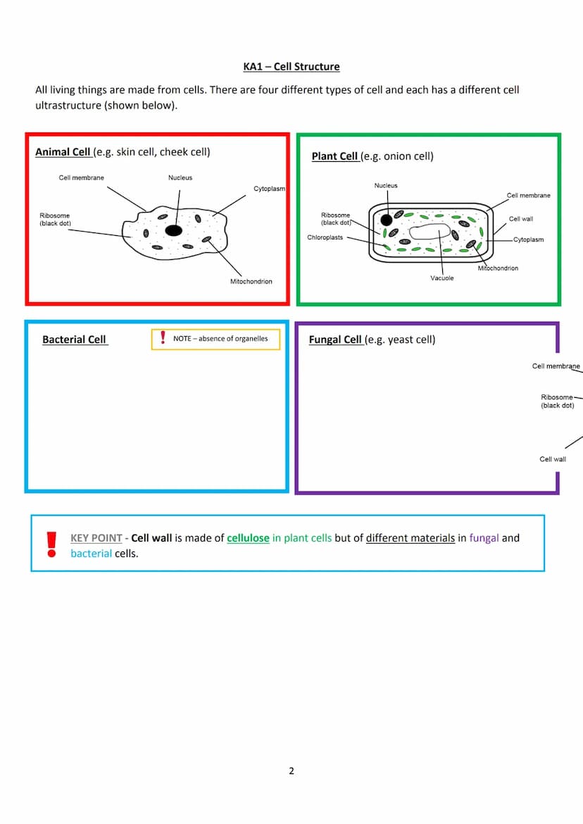 LAS
optimum
sequi
National 5 Biology
Unit 1 - Cell Biology
Summary Notes
1 KA1 - Cell Structure
All living things are made from cells. There