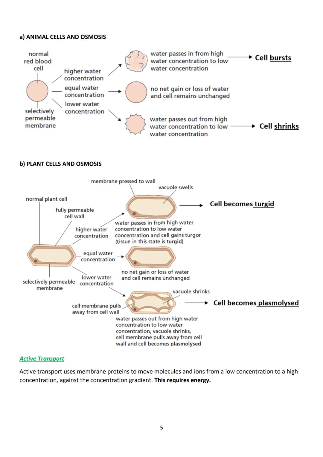 LAS
optimum
sequi
National 5 Biology
Unit 1 - Cell Biology
Summary Notes
1 KA1 - Cell Structure
All living things are made from cells. There